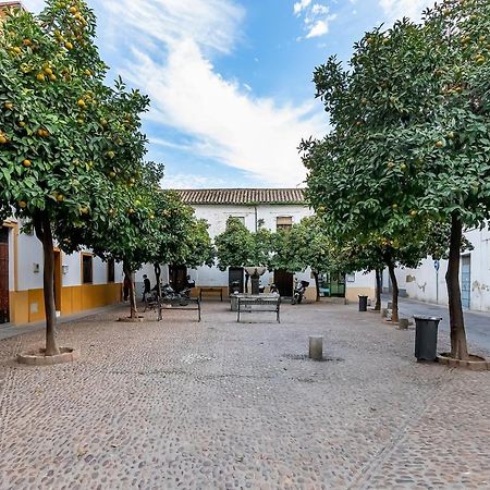 Apartmán Bhost - Regina III Córdoba Exteriér fotografie