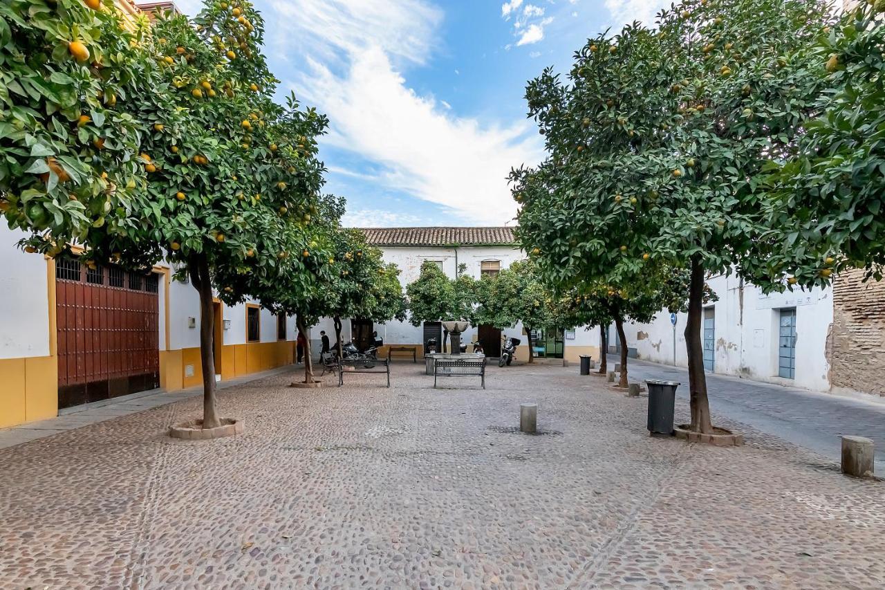 Apartmán Bhost - Regina III Córdoba Exteriér fotografie